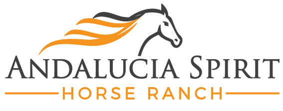 HorseRanchLogo